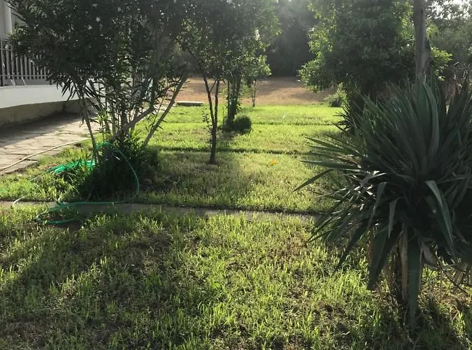 Daddy's Sea View House Vakantiehuis *